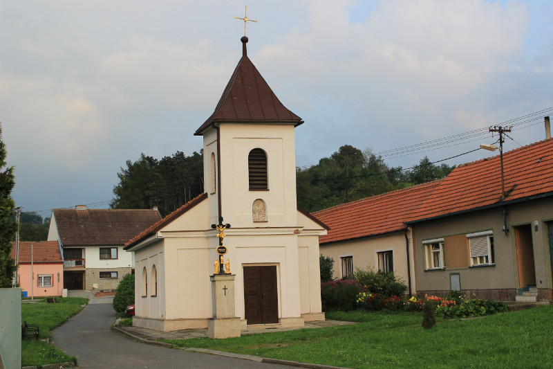 IMG 7441