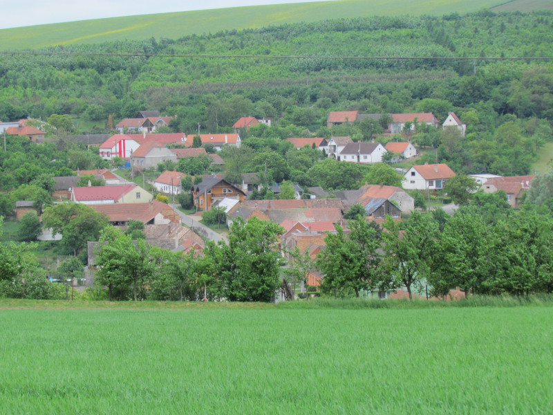 Stavěšice